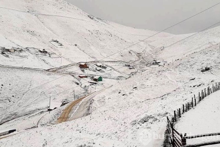 Kar yağdı! Yaylalar beyaz örtüyle kaplandı