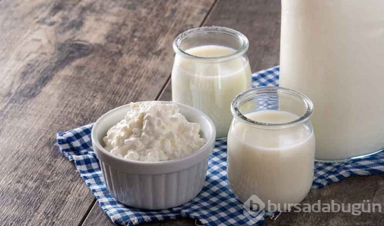 Bağışıklığı güçlendiren probiyotik: Kefir