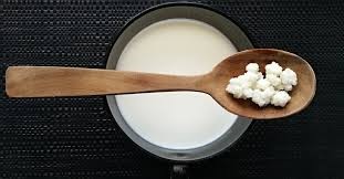 Bağışıklığı güçlendiren probiyotik: Kefir