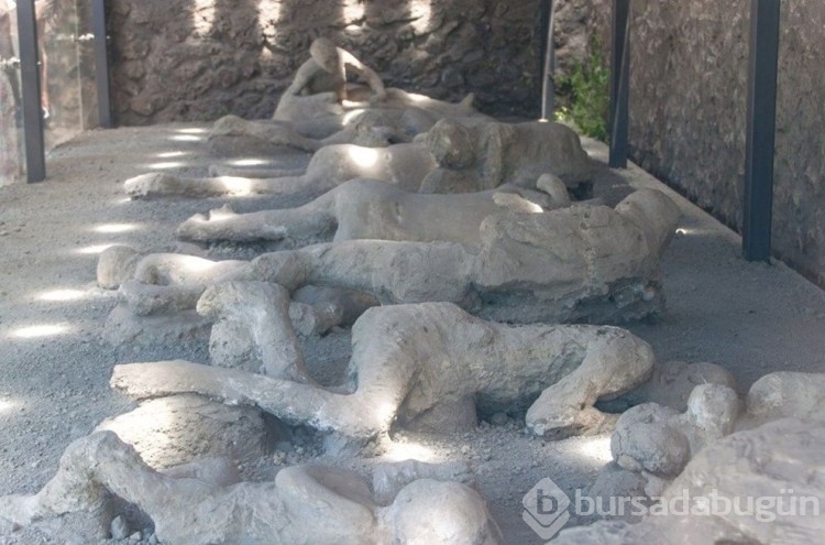 Pompeii DNA analizleri ortaya çıktı! Düşünülenden çok farklı...