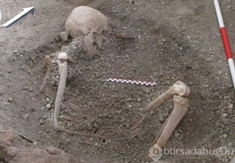 Pompeii DNA analizleri ortaya çıktı! Düşünülenden çok farklı...