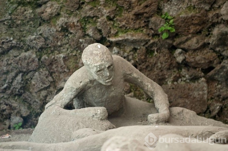 Pompeii DNA analizleri ortaya çıktı! Düşünülenden çok farklı...