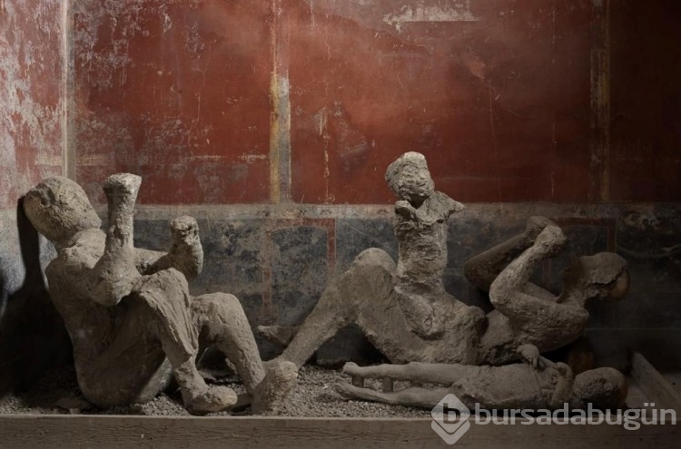 Pompeii DNA analizleri ortaya çıktı! Düşünülenden çok farklı...