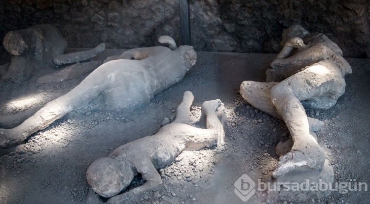 Pompeii DNA analizleri ortaya çıktı! Düşünülenden çok farklı...