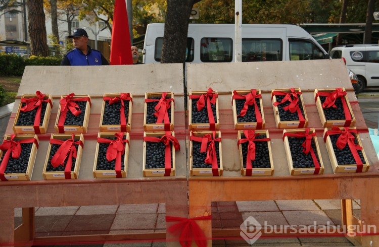Bursa'da 46. Zeytin Festivali renkli görüntülere sahne oldu!