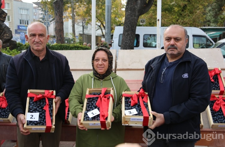 Bursa'da 46. Zeytin Festivali renkli görüntülere sahne oldu!