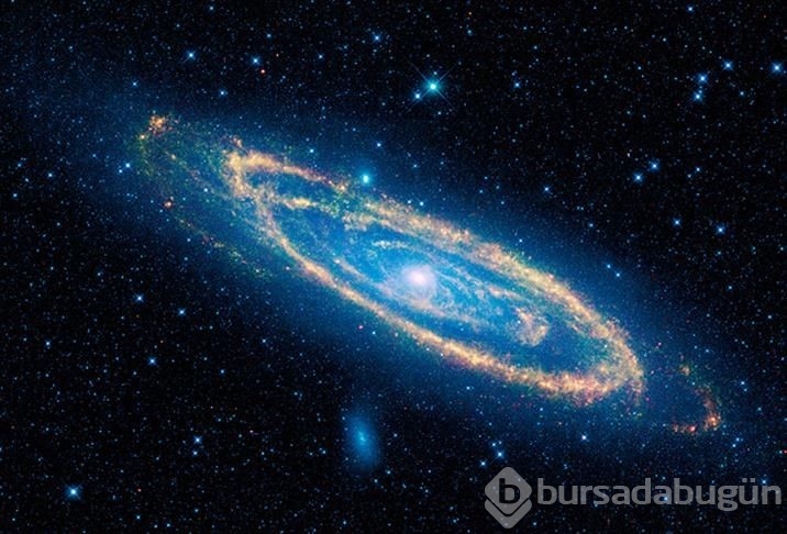 Andromeda'da neler oluyor?