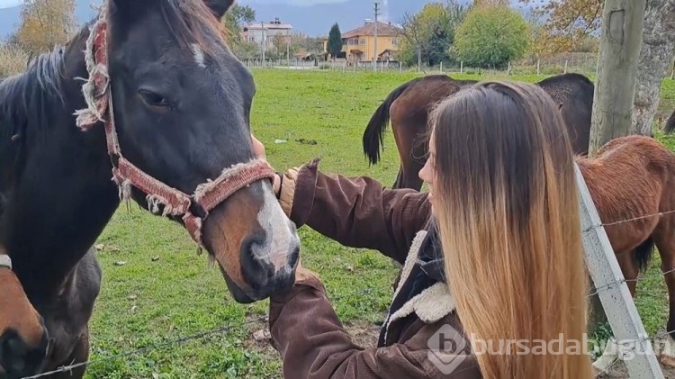 At sevgisiyle başlayan hobi hipodromda devam ediyor: Kurduğu tesiste yarış atı üretiyor