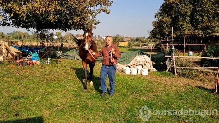 At sevgisiyle başlayan hobi hipodromda devam ediyor: Kurduğu tesiste yarış atı üretiyor