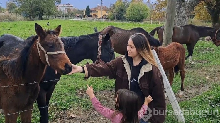 At sevgisiyle başlayan hobi hipodromda devam ediyor: Kurduğu tesiste yarış atı üretiyor