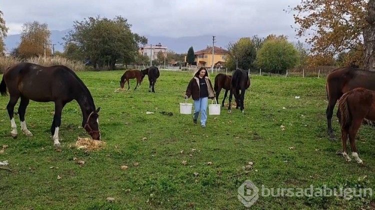 At sevgisiyle başlayan hobi hipodromda devam ediyor: Kurduğu tesiste yarış atı üretiyor