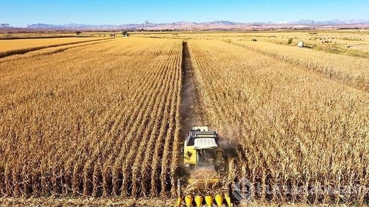 Tarım Bakanlığı açıkladı: 33 soruda planlı üretim rehberi