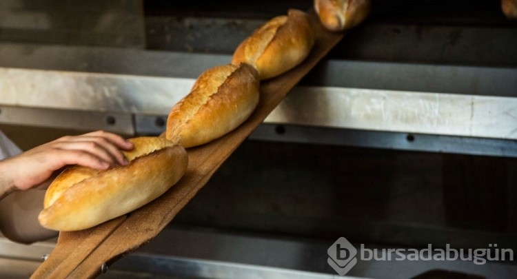 En faydalı ekmek türü buymuş: Kötü kolesterolü düşürüyor, kan şekerini dengeliyor