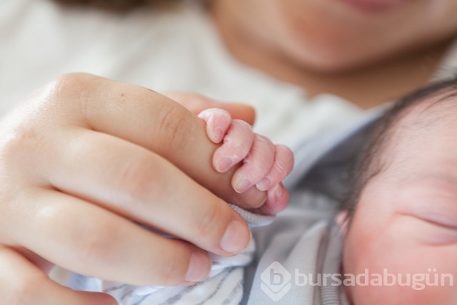 Hamilelikte bebeğinizin gelişimine katkı sağlamak için bu gıdaları diyetinize ekleyebilirsiniz!