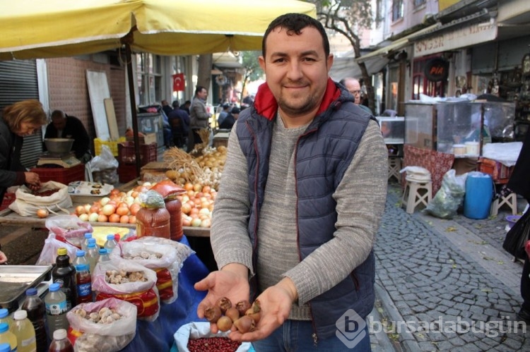 Doğada kendiliğinden yetişen beşbıyık tezgahlarda yerini aldı