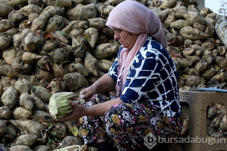 220 haneli köy geçimini böyle sağlıyor