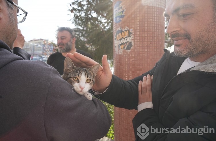 Bursa'da şiddetli deprem!