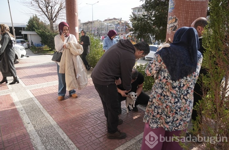 Bursa'da şiddetli deprem!