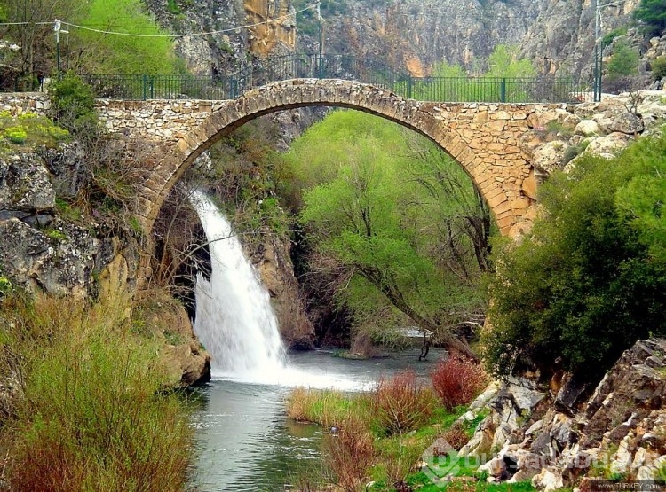 Türkiye'nin en sağlıklı illeri açıklandı! Bursa kaçıncı sırada?