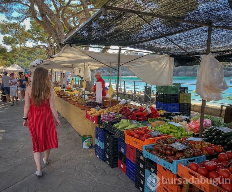 Bütçe dostu bir market alışverişi yapmanın altın değerindeki püf noktaları...