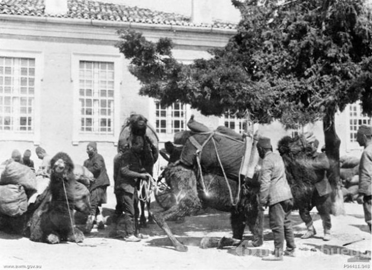 Hiç görmediğiniz fotoğraflarla Çanakkale Savaşı