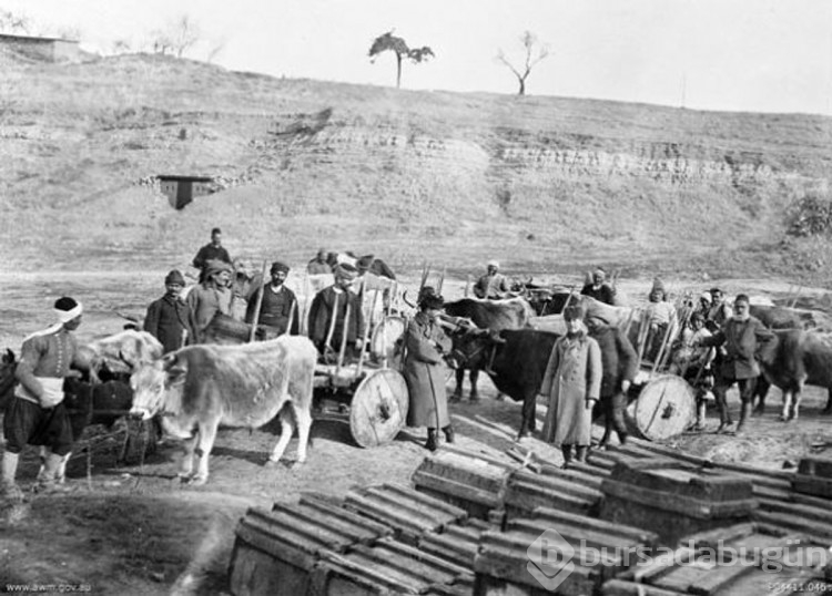 Hiç görmediğiniz fotoğraflarla Çanakkale Savaşı