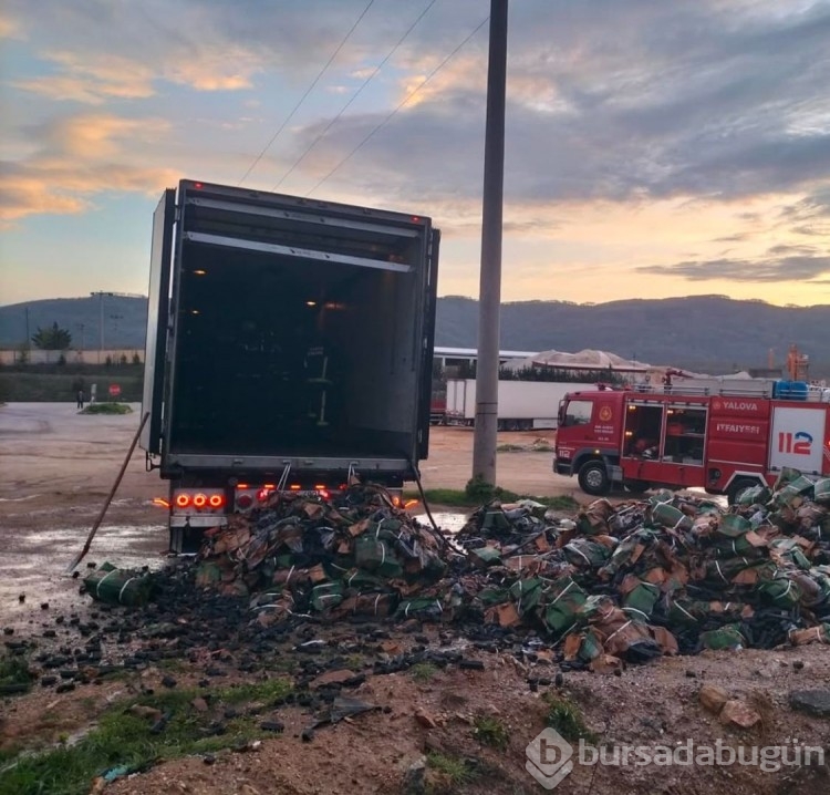 Rusya'dan Bursa'ya mangal kömürü taşıyan tırda yangın