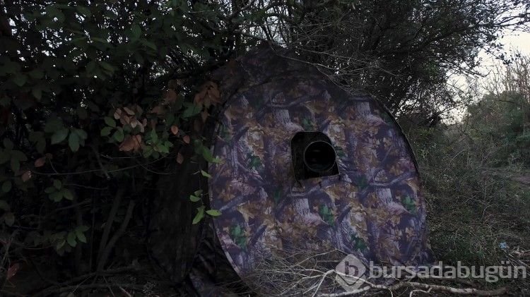 Bursa'da sabırla bekledi: Gizli gizli fotoğraflarını çekti