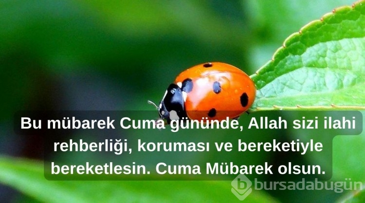 Cuma mesajları ve sözleri 2025: Hadisli ve anlamlı cuma mesajları