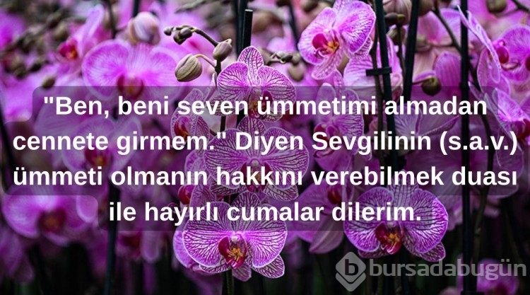Cuma mesajları ve sözleri 2025: Hadisli ve anlamlı cuma mesajları