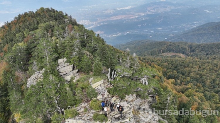 Osmanlı'nın gölgesinde kalan miras: Bursa Kiliseleri ve Havraları 