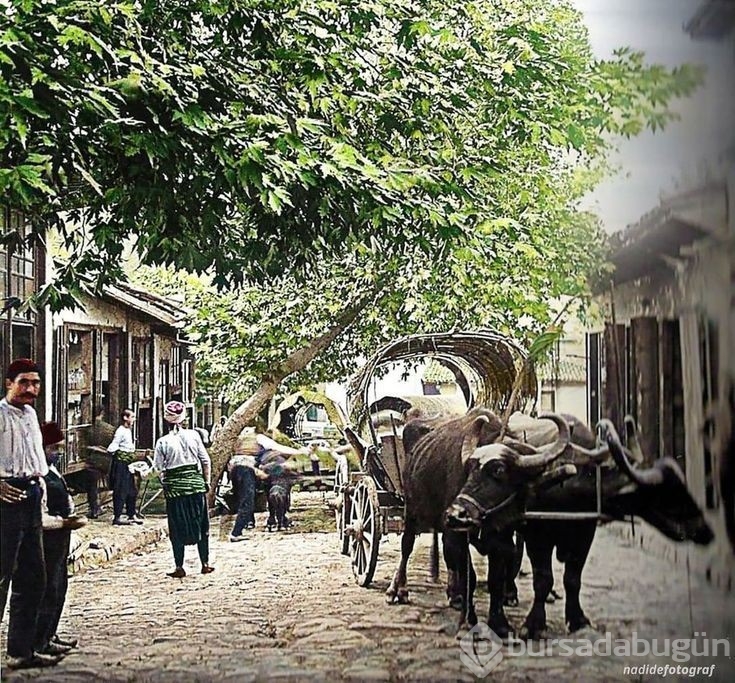 Şehir ve insan manzaralarıyla "Eski Bursa"