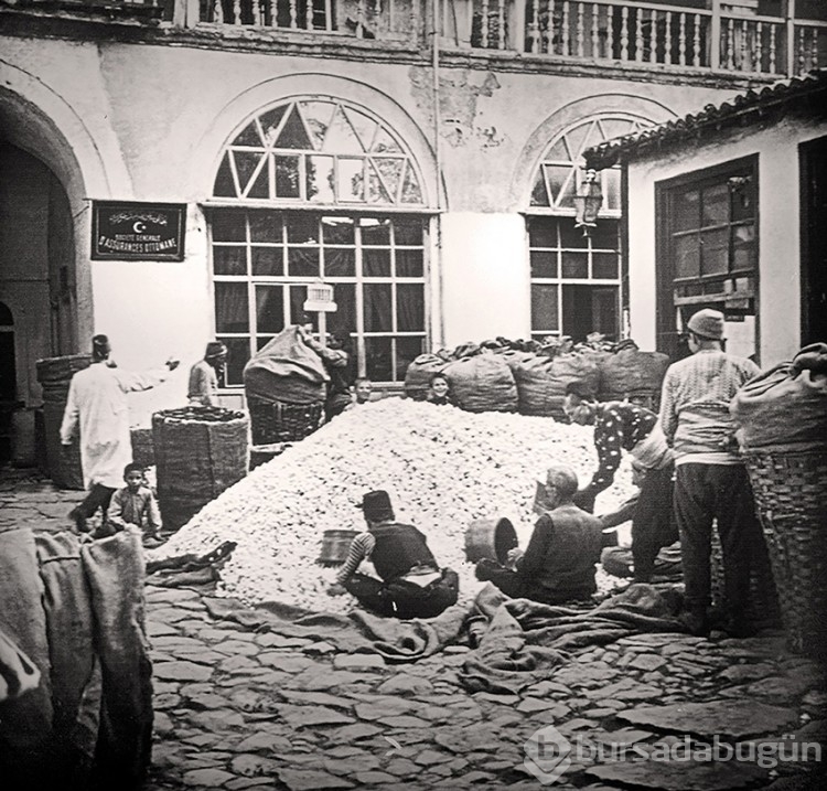 Bursa'dan dünyaya uzanan bir aşk! İpek...