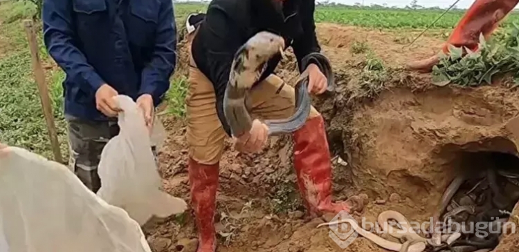 Tüm dünyayı dehşete düşürdü! Dedektörle arayıp buldular