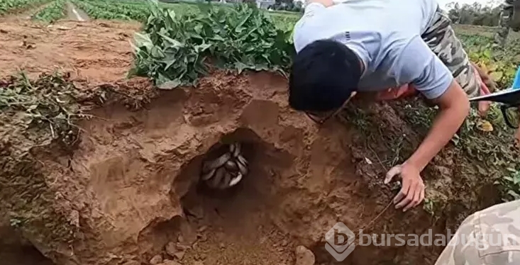 Tüm dünyayı dehşete düşürdü! Dedektörle arayıp buldular