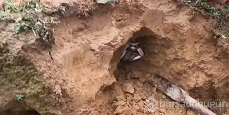 Tüm dünyayı dehşete düşürdü! Dedektörle arayıp buldular