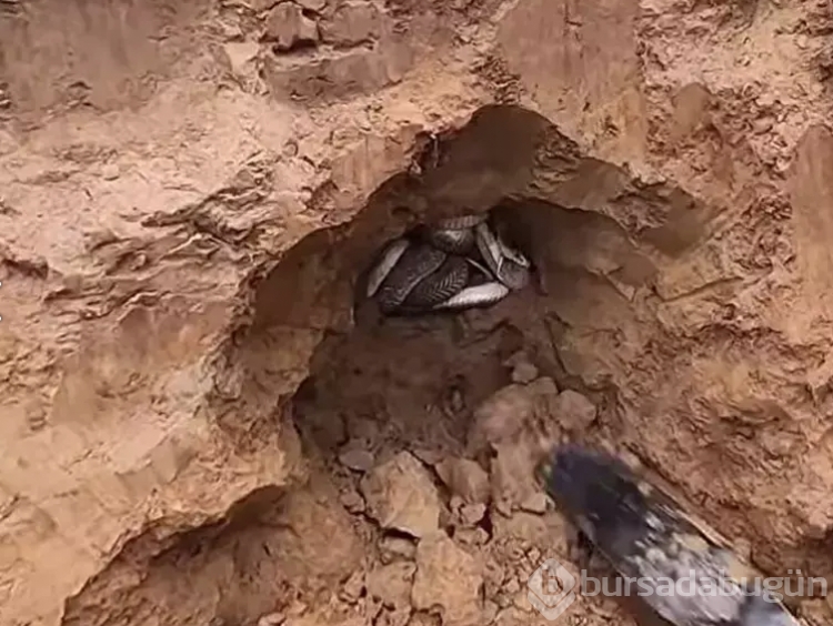 Tüm dünyayı dehşete düşürdü! Dedektörle arayıp buldular