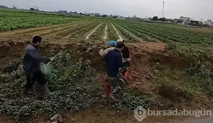 Tüm dünyayı dehşete düşürdü! Dedektörle arayıp buldular
