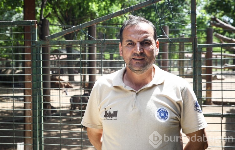 Bursa Hayvanat Bahçesi 150 farklı türe ev sahipliği yapıyor