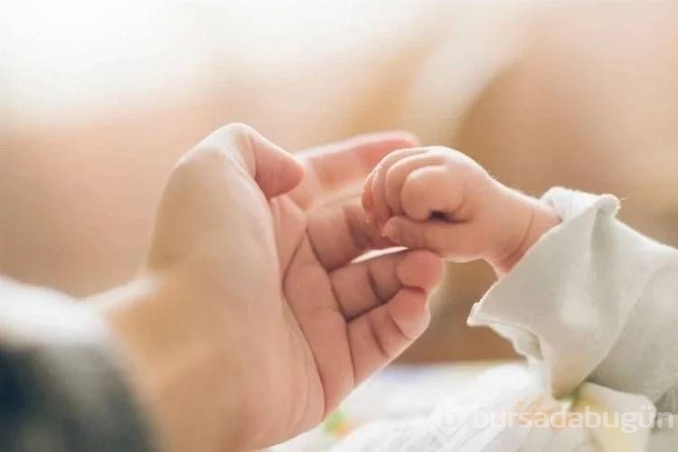 Ev kadınlarına emeklilik hakkı: Primlerin üçte birini devlet ödeyecek