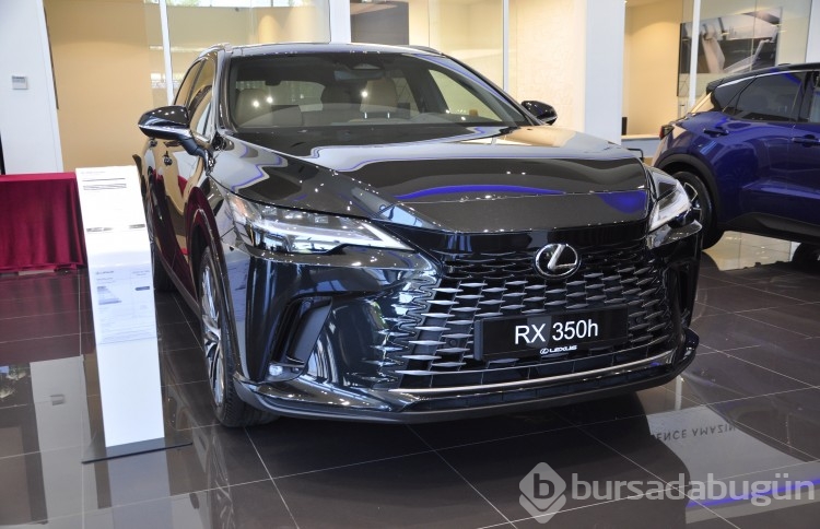 Esra İlknur Tekmen ev sahipliğinde Lexus Daveti: ünlüler geçidine döndü