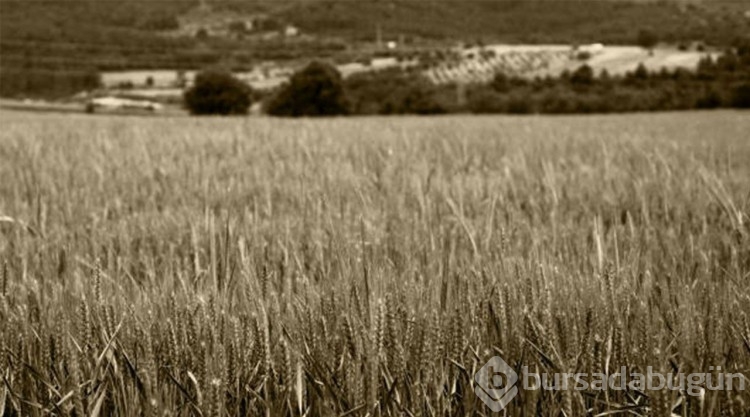 Tarihte bugün: 21 Mayıs