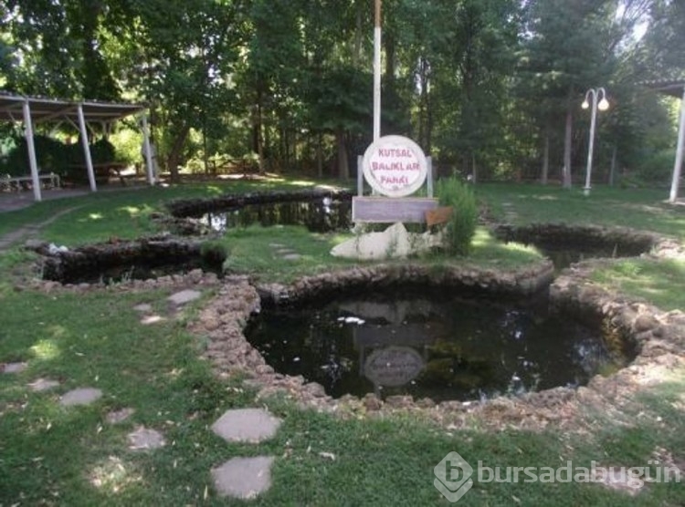Ülkemiz de  tüyler ürpertici hikayelerin yaşandığı iddia edilen gizemli mekanlar