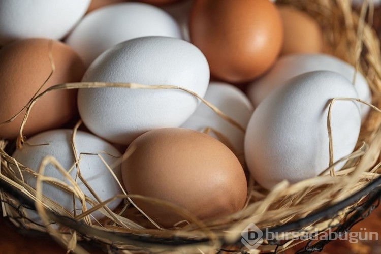 Bilim ne diyor: Her gün yumurta yemek sağlıklı mı?
