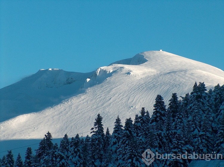 Bursa ile ilgili ilginç olaylar! Bursalılar bile bilmiyor...