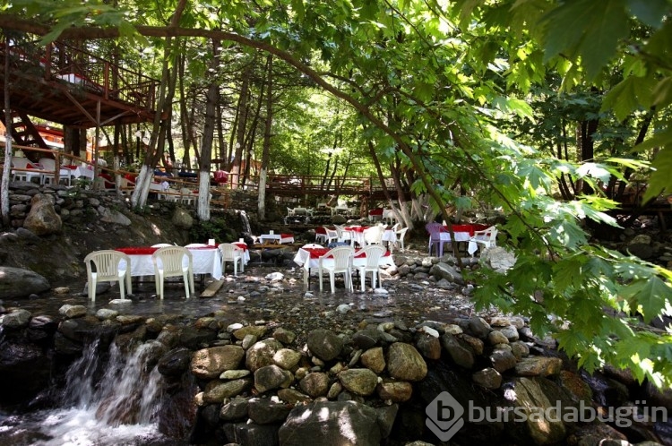 Bursa'da en iyi piknik alanları! Bursa'da gidilecek ücretli, ücretsiz piknik yerleri ve mesire alanları