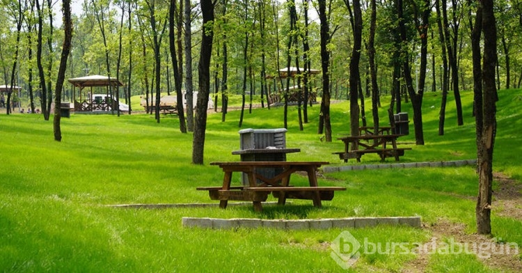 Bursa'da en iyi piknik alanları! Bursa'da gidilecek ücretli, ücretsiz piknik yerleri ve mesire alanları