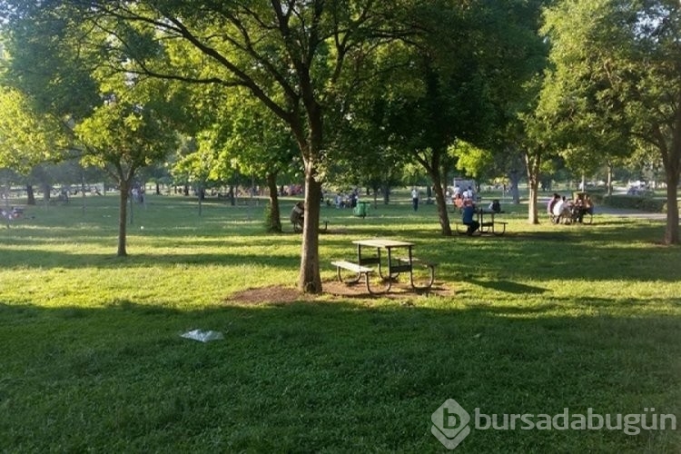 Bursa'da en iyi piknik alanları! Bursa'da gidilecek ücretli, ücretsiz piknik yerleri ve mesire alanları