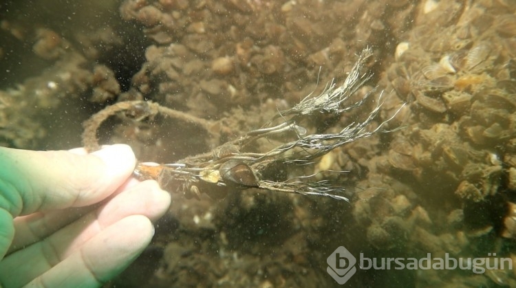 Sapanca Gölü'ne düşen uçağın enkazı 53 yıl sonra yeniden görüntülendi