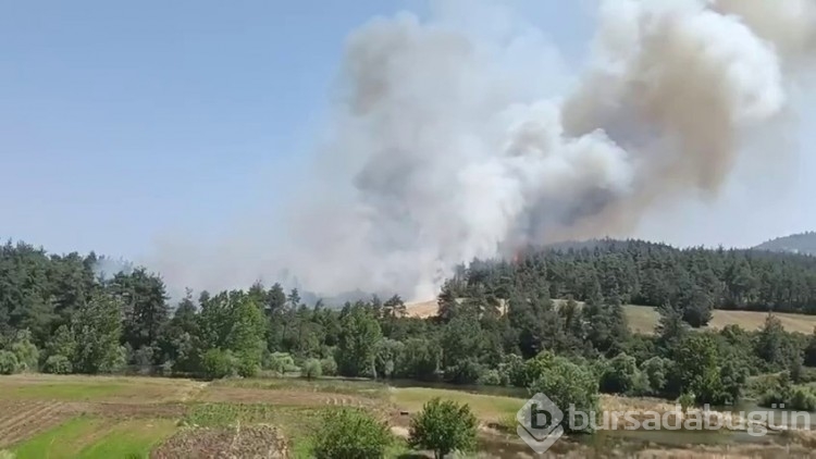 Bursa'daki yangından fotoğraflar!